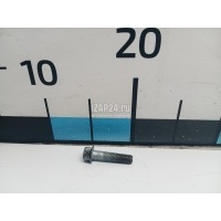 Болт Hyundai-Kia Carens (2006 - 2012) 2529125000