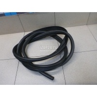 Уплотнитель двери Renault Sandero (2009 - 2014) 8200733171