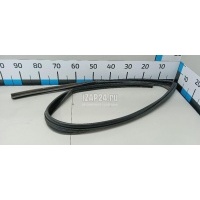 Уплотнитель стекла двери Renault Sandero (2009 - 2014) 8200733140