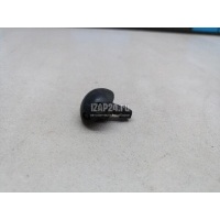 Форсунка омывателя лобового стекла Renault Sandero (2009 - 2014) 289321198R