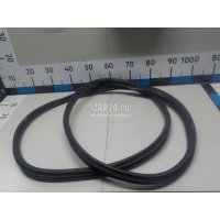 Уплотнитель двери Renault Fluence (2010 - 2017) 769240022R