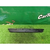 Накладка радиатора BMW 3 F30 2014 17117600543