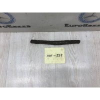 Цепь масляного насоса M273 Mercedes X164 GL A0009935576