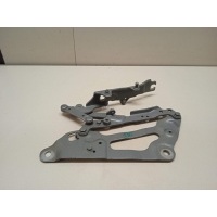 Петля капота левая BMW 5-serie GT F07 (2009 - 2016) 41617229635