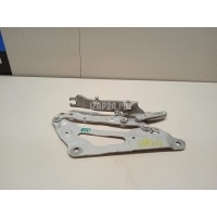 Петля капота правая BMW 5-serie GT F07 (2009 - 2016) 41617229636