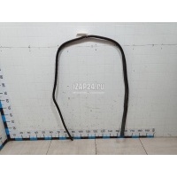 Уплотнитель двери Ford Focus III (2011 - 2019) 1748755