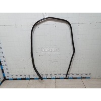 Уплотнитель двери Ford Focus III (2011 - 2019) 1748755
