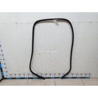 Уплотнитель двери Ford Focus III (2011 - 2019) 1750005