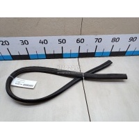 Уплотнитель капота Ford Focus III (2011 - 2019) 1736699