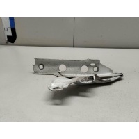 Петля капота правая VAG A6 [C7,4G] (2011 - 2018) 4G8823302E