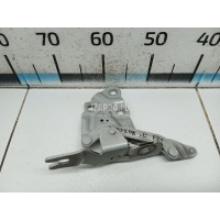 Петля капота левая BMW X3 F25 (2010 - 2017) 41617262875