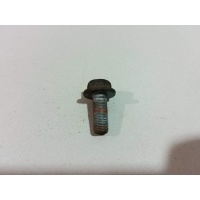 Болт суппорта Renault Kangoo 2008 7703002913