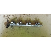 Рейка топливная (рампа) Opel Insignia 2009 12614735