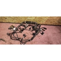 Проводка (коса) двигателя Chevrolet Captiva (C100) 2008 55556249, 6285530
