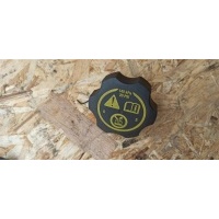 Крышка расширительного бачка Opel Astra J GTC 2013 13502353
