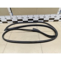 Уплотнитель двери Chevrolet Aveo (T250) 2005-2011 96541711