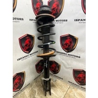 Амортизатор передний Renault Duster 2013 543025648r