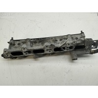 Рампа (рейка) топливная Volkswagen Golf-5 2003 03C133204AA