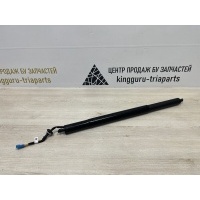 Амортизатор крышки багажника BMW X7 G07 2019-2022 51249482803