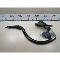 Петля крышки багажника Citroen-Peugeot 508 (2010 - 2018) 8613H4