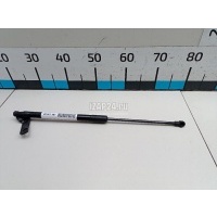 Амортизатор двери багажника BMW 1-serie F20/F21 (2011 - 2019) 51247239871