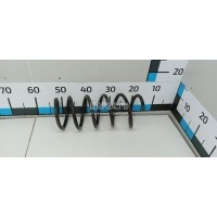 Пружина задняя Renault Duster 2012 550202720R