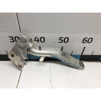 Петля капота правая Hyundai-Kia Optima III (2010 - 2015) 791202T000