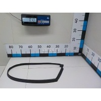 Уплотнитель стекла двери Hyundai-Kia Ceed (2012 - 2018) 82160A2000
