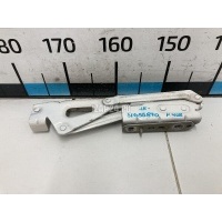 Петля крышки багажника Citroen-Peugeot 408 2012 8613C4
