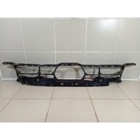 Решетка в бампер BMW X7 G07 51115A241A7