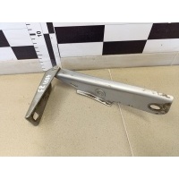 Петля капота правая VAZ Lada Kalina 2004-2013 11180840701000