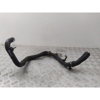 Патрубок интеркулера Fiat Punto III (2005-2012) 2006 55703078