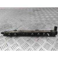 Топливная рампа Fiat Punto III (2005-2012) 2006 0445214086