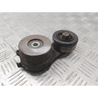 Механизм натяжения ремня, цепи Kia Sorento 2 (2009-2012) 2011 252812F000