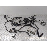 Проводка двигателя Skoda Octavia A4 (1996-2010) 2004 038906019PB