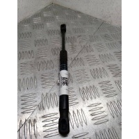 Амортизатор капота BMW 7 G11/G12 2017 7347403,51237347403