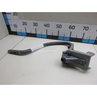 Петля крышки багажника ZAZ Chance (2009 - 2014) TF69Y05605325