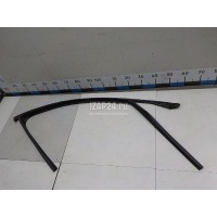 Уплотнитель стекла двери BMW X6 F16/F86 (2014 - 2020) 51337317820