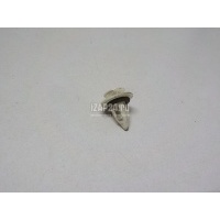 Крепеж (клоп) BMW X6 F16/F86 (2014 - 2020) 51777171002