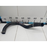 Патрубок радиатора Hyundai-Kia Optima IV 2016 25413C1100