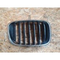 Решетка радиатора BMW X3 G01 2019 51137397466, 19297610