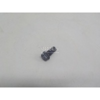 Болт полый Renault X-Trail (T32) 2014 151882356R