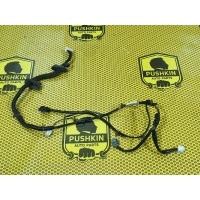 Проводка двери Nissan Pathfinder R51 2006 24126EB301