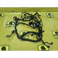 Проводка двигателя Nissan Pathfinder R51 2006 24011EB212