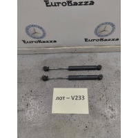 Амортизатор задний Mercedes W906 Mercedes Sprinter W906 2006> A9063202131