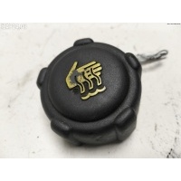 Пробка расширительного бачка Renault Scenic I (1996-2003) 2003 8200048024