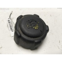 Пробка расширительного бачка Renault Scenic I (1996-2003) 2003 8200048024