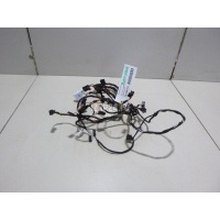 Проводка (коса) BMW 5-serie G30/G31/F90 2017 64119361700