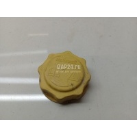 Крышка расширительного бачка Ford Nubira (2003 - 2007) 7267969