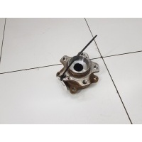 Ступица задняя левая Exeed RX 2023- 204001538AA